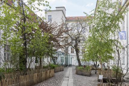 Árboles en el patio del Instituto KW de Arte Contemporáneo